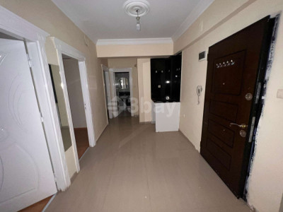 WhatsApp Image 2026-03-25 at 12.49.25.jpeg